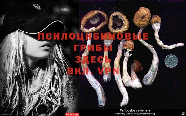 альфа пвп Баксан